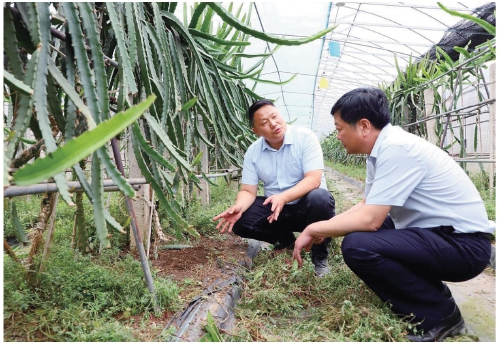 校地共建先行縣　產(chǎn)教融合促振興